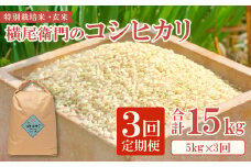 【定期便】横尾衛門のコシヒカリ 玄米 5kg×3回コース【新米 定期便 定期 3回 米 お米 玄米 特別栽培米 低農薬 低化学肥料 ブランド米 コシヒカリ 5kg×3回 合計15kg】