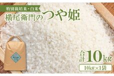 横尾衛門のつや姫 白米 10kg【新米 先行予約 米 お米 白米 精米 特別栽培米 低農薬 低化学肥料 ブランド米 つや姫 10kg 1袋】