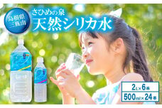 ナチュラルミネラルウォーター「さひめの泉」 ペットボトルセット（500ml×24本×1箱、2L×6本×1箱）【水 500ml 24本 2L 6本 ペットボトル シリカ水 シリカ ミネラルウォーター】