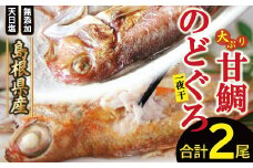 「一日漁」甘鯛・のどぐろ一夜干し【干物セット のどぐろ干物 1尾 201～260g 甘鯛干物 1枚 301～375g 無添加 のどぐろ ノドグロ  特大 アマダイ 大ぶり 干物 一夜干し 冷凍 父の日 母の日】