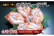 のどぐろ一夜干し【５尾】【のどぐろ 干物 1尾あたり101g～130g 5尾 のどぐろ干物 5枚 ノドグロ あかむつ アカムツ 新鮮 一夜干し 個包装 小分け 真空パック 冷凍 贈答 父の日 母の日】