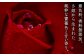 薔薇の紅茶は、香り高い薔薇の花を使用しています。