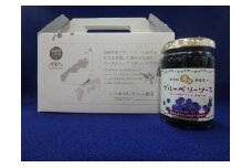完熟無添加の有機ブルーベリーソース【ブルーベリー ソース 150g 6本 ブルーベリーソース 完熟 手摘み フルーツ 有機栽培 有機 無農薬栽培 無農薬 無添加 瓶 甘さ控えめ セット 母の日】