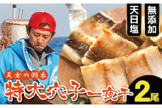 特厚 特大 穴子 一夜干し 2尾 50cm前後【あなご一夜干し 50cm前後 2尾 2枚 穴子干物 穴子 アナゴ あなご 干物 一夜干し 特大サイズ 無添加 天日塩 新鮮 冷凍 真空パック 贈答 父の日 母の日】