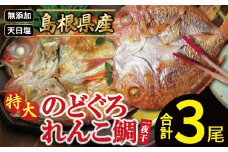 れんこ鯛と特大のどぐろ一夜干しセット【干物セット のどぐろ干物 1尾 261～290g れんこ鯛干物 2尾×161～180g 無添加 のどぐろ ノドグロ 特大 れんこ鯛 キダイ 干物 真空パック 父の日 母の日】