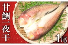 「一日漁」甘鯛一夜干【干物 鯛 甘鯛 1尾 約27cm 約300g 国産 魚介類 魚 あまだい たい タイ 一夜干 一日漁 無添加 天日塩 特産品 お取り寄せ グルメ 贈答 ギフト プレゼント 父の日 母の日】