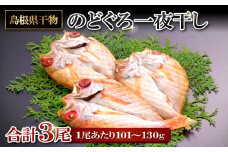 「旨みたっぷり」 のどぐろ一夜干し （3尾）【のどぐろ 1尾あたり101～130g のどぐろ干物 ノドグロ のど黒 あかむつ アカムツ 干物 個包装 小分け 真空パック 冷凍 父の日 母の日】