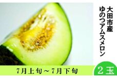【春作】温泉津アムスメロン×２玉（配達指定日不可）【アムスメロン メロン 2玉 青肉 期間限定 季節限定 果物 フルーツ くだもの 贅沢 ご褒美 デザート 先行予約】
