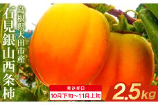 石見銀山西条柿（2.5kg）（配達指定日不可）【西条柿 柿 かき 果物 くだもの フルーツ デザート 渋抜き済 秋 季節限定 期間限定 早期予約 先行予約 島根県 大田市 石見銀山】