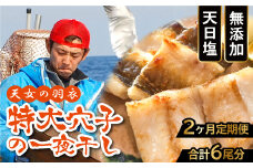 【2ヶ月定期便】特大 穴子 一夜干し 3尾×2回 計6尾【定期便 50cm前後 3尾 2回 合計6尾 穴子干物 島根県産 大田市産 あなご 干物 特大サイズ 無添加 天日塩 冷凍 真空パック】