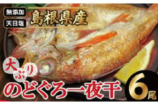 島根県沖！大ぶり「のどぐろ一夜干し」（６尾）【のどぐろ一夜干し 1尾あたり176～200g のどぐろ 干物 無添加 天日塩 魚介類 魚 ノドグロ のど黒 アカムツ 大きめ 干物 新鮮 冷凍 真空パック 父の日 母の日】