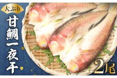 大ぶり甘鯛一夜干（２尾）【甘鯛 一夜干し 2尾 干物 あまだい ぐじ 大ぶり おつまみ 酒の肴 素焼き 唐揚げ 鯛 たい タイ あまだい アマダイ 魚介 魚貝 一日漁 無添加 贅沢 高級 父の日 母の日】