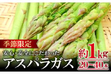 アスパラガス（約１ｋｇ）【季節限定 アスパラガス アスパラ 約1kg 20～40本 美味しまね認証 安心 安全 甘い とろける 初夏 野菜 初夏 塩ゆで 肉巻き おかず 期間限定 4月～9月中旬発送】
