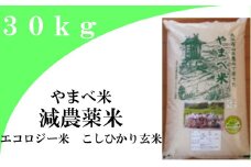 【玄米】減農薬米（ こしひかり １００％）３０ｋｇ【令和6年産 2024年産 お米 こめ コシヒカリ 30kg 米 玄米 エコロジー米 エコファーマー認定 減化学肥料 ダイエット 島根県産 大田市産】