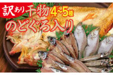 【訳あり】魚の干物おまかせ詰合せセット（のどぐろ入り） 【干物 4～5種 ランダム お楽しみ 島根県産 大田市 魚介類 のどぐろ 白いか アジ カレイ 無添加 天日塩 減塩仕立て 冷凍】