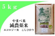 【精米】減農薬米（ こしひかり 100％）５ｋｇ【お米 5kg 令和6年産 2024年産 コシヒカリ 米 精米 エコロジー米 減農薬米 エコファーマー認定 減農薬 減化学肥料 島根県産 大田市産】