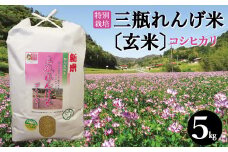 〈玄米〉特別栽培 三瓶れんげ米 コシヒカリ 5kg【玄米 5kg 令和6年産 先行予約 こしひかり お米 げんまい 2024年産 特別栽培米 エコロジー米 無化学窒素肥料 減農薬米】