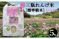 〈標準精米〉特別栽培 三瓶れんげ米コシヒカリ 5kg