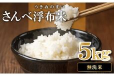 さんべ浮布米（無洗米）5kg【先行予約 令和6年産 お米 コシヒカリ 5kg こしひかり 無洗米 2024年産 特別栽培米 米 おこめ こめ うるち米 浮布米 減農薬 減化学肥料 JGAP認証 島根県産 大田市産】