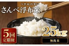 さんべ浮布米（無洗米）定期便（5kg×5回コース）【先行予約 令和6年産 コシヒカリ 無洗米 5kg 5回 定期 2024年産 こしひかり 5kg×5回 合計25kg 5回定期便 特別栽培米 島根県産 大田市産 減農薬】