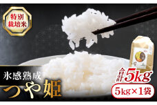 氷感熟成「つや姫」5kg【米 5kg つや姫 特別栽培米 こめ おこめ お米 島根県産 大田市産 氷感熟成 石見銀山氷感つや姫 減農薬 減化学肥料】