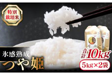 氷感熟成「つや姫」10kg【特別栽培米 つや姫 10kg 島根県産 大田市産 米 氷感熟成 石見銀山氷感つや姫 減農薬 減化学肥料】