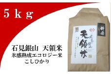 石見銀山天領米（氷感熟成エコロジー米こしひかり）5kg【コシヒカリ 5kg 島根県産 大田市産 米 エコロジー米 氷感熟成 減農薬 減化学肥料】