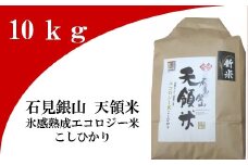石見銀山天領米（氷感熟成エコロジー米こしひかり）10kg【コシヒカリ 10kg こしひかり お米 精米 島根県産 大田市産 米 氷感熟成 エコロジー米 減農薬 減化学肥料】