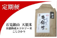 石見銀山天領米(5kg×5回お届け)【定期便 定期 5回 コシヒカリ 精米 5kg×5回 合計25kg 島根県産 大田市産 米 氷感熟成 エコロジー米 天領米】