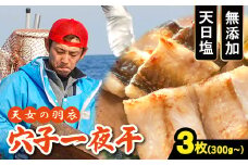 穴子 一夜干 3枚 300g以上【穴子 国産 合計300g以上 穴子干物 3枚 魚介類 魚 あなご アナゴ 干物 食べ切りサイズ 無添加 天日塩 新鮮 冷凍 真空パック 贈答 ギフト 父の日 母の日】