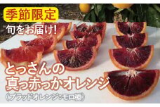 とっさんの真っ赤っかオレンジ（ブラッドオレンジ：モロ種）（配達指定日不可）【ブラッドオレンジ 1箱 1.5kg～2kg 有機栽培 無農薬 オレンジ おれんじ くだもの 果物 フルーツ スムージー ジュース】