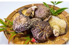 さんべきのっこ村の原木乾燥しいたけ（200g）【干し椎茸 5袋 干ししいたけ 個包装 国産 原木しいたけ 無農薬 化学肥料不使用 天然素材 乾物 きのこ ギフト 贈り物】