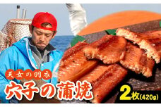 あなご 蒲焼 2枚 合計420g 天女の羽衣【合計420g 穴子蒲焼き 魚介類 魚 穴子 アナゴ 蒲焼き 仕込み醤油 タレ付き 山椒付き 新鮮 冷凍 真空パック 贈答 ギフト 父の日 母の日】