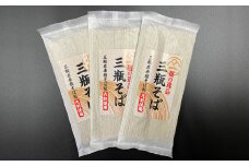 そば処はないかだの「麺の逸品 三瓶そば」