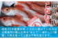 お刺身用の極上の魚をあえて一夜干しに！