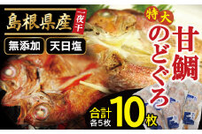 特大のどぐろと甘鯛の一夜干し（10枚セット）【干物セット のどぐろ干物 5枚×230g 甘鯛干物 5枚×325g 無添加 天日塩 のどぐろ ノドグロ 特大 アマダイ 干物 個包装 真空パック 父の日 母の日】