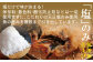 塩のみ無添加仕上げ！魚の旨みを極限まで引き出しています。