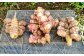 当農園が栽培した採りたて新鮮な紫菊芋を丁寧に微粉末パウダーにしましたので是非一度お試し頂ければと思っております。
