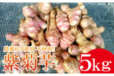 農薬化学肥料不使用の紫菊芋　5kg【菊芋 野菜 紫菊芋 芋 赤菊芋 農薬不使用 化学肥料不使用 季節限定 期間限定 数量限定 島根県 大田市】
