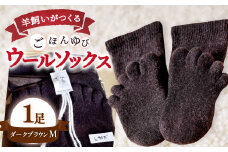 ひつじ飼いが作る ごほんゆびウールソックス Mサイズ(ダークブラウン)【ウール ソックス 5本指 靴下 Mサイズ ダークブラウン ブラウン レディース メンズ 男女兼用 島根県 大田市】
