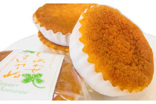 蜂蜜・バター・卵が楽しめる「しあわせマドレーヌ」（約50g） 10個入り【約50g×10個 マドレーヌ 洋菓子 お菓子 おやつ ギフト 贈答 プレゼント お土産 セット 地元食材 個包装】