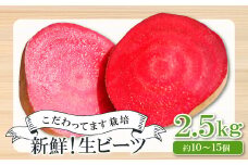 【季節限定品】あまくて真っ赤なビーツ2.5㎏【ビーツ 食べる輸血 奇跡の野菜  健康野菜 スーパーフード カエンサイ ボルシチ ポタージュ スムージー スイーツ ビタミン】