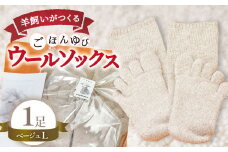 ひつじ飼いが作る ごほんゆびウールソックス Lサイズ(ベージュ)【ウール ソックス 5本指 靴下 Lサイズ ベージュ レディース メンズ 男女兼用 島根県 大田市】