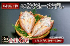 のどぐろ一夜干し 2尾 【3回定期便】【1尾あたり101～120g 2尾 のどぐろ干物 6枚 のどぐろ ノドグロ あかむつ アカムツ 新鮮 干物 一夜干し 個包装 小分け 真空パック 冷凍 贈答 父の日 母の日】