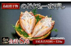 のどぐろ一夜干し 2尾 【4回定期便】【1尾あたり101～120g 2尾 のどぐろ干物 8枚 のどぐろ ノドグロ あかむつ アカムツ 新鮮 干物 一夜干し 個包装 小分け 真空パック 冷凍 贈答 父の日 母の日】