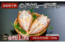 のどぐろ一夜干し 2尾 【5回定期便】【のどぐろ 干物 1尾あたり101～120g 2尾 のどぐろ干物 10枚 ノドグロ あかむつ アカムツ 新鮮 一夜干し 個包装 小分け 真空パック 冷凍 贈答 父の日 母の日】