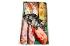旬の鮮魚ＢＯＸお任せセット（松）【鮮魚 約5kg 冷蔵 旬 魚 さかな 天然 天然魚 新鮮 地魚 産地直送 水揚げ次第発送 おまかせ セット 詰め合わせ お取り寄せ 大田市 和江漁港】
