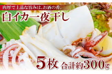 刺身より美味しい！白いか一夜干 5枚【いか 一夜干し 白いか 干物 60～80g 5枚 一夜干 ケンサキイカ 剣先イカ 真イカ 肉厚 贅沢 おつまみ お酒の肴 おやつ 贈答 ギフト 冷凍 父の日 母の日】