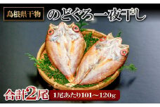 旨みを引き出した のどぐろ一夜干し 2尾【のどぐろ一夜干し 1尾あたり101～120g のどぐろ干物 のどぐろ ノドグロ のど黒 あかむつ アカムツ 干物 個包装 小分け 真空パック 冷凍 父の日 母の日】
