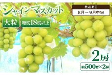 おおだ産シャインマスカット【シャインマスカット 2房 ぶどう ブドウ 果物 くだもの マスカット フルーツ 葡萄 種なし 皮ごと 季節限定 期間限定 大粒 糖度18度以上 ご褒美 贅沢】